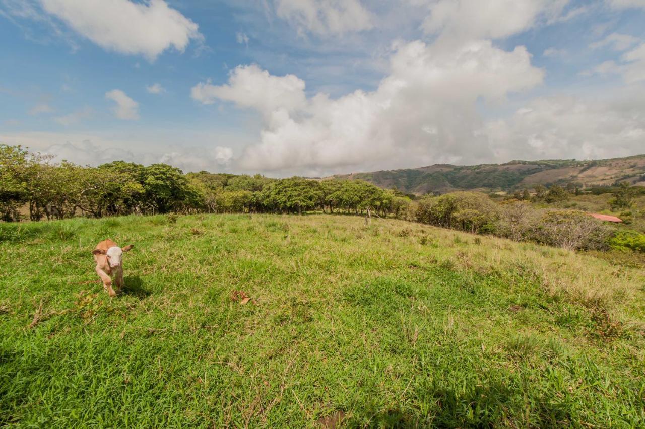 Cabanas Valle Campanas - Monteverde, Costa Rica Екстер'єр фото