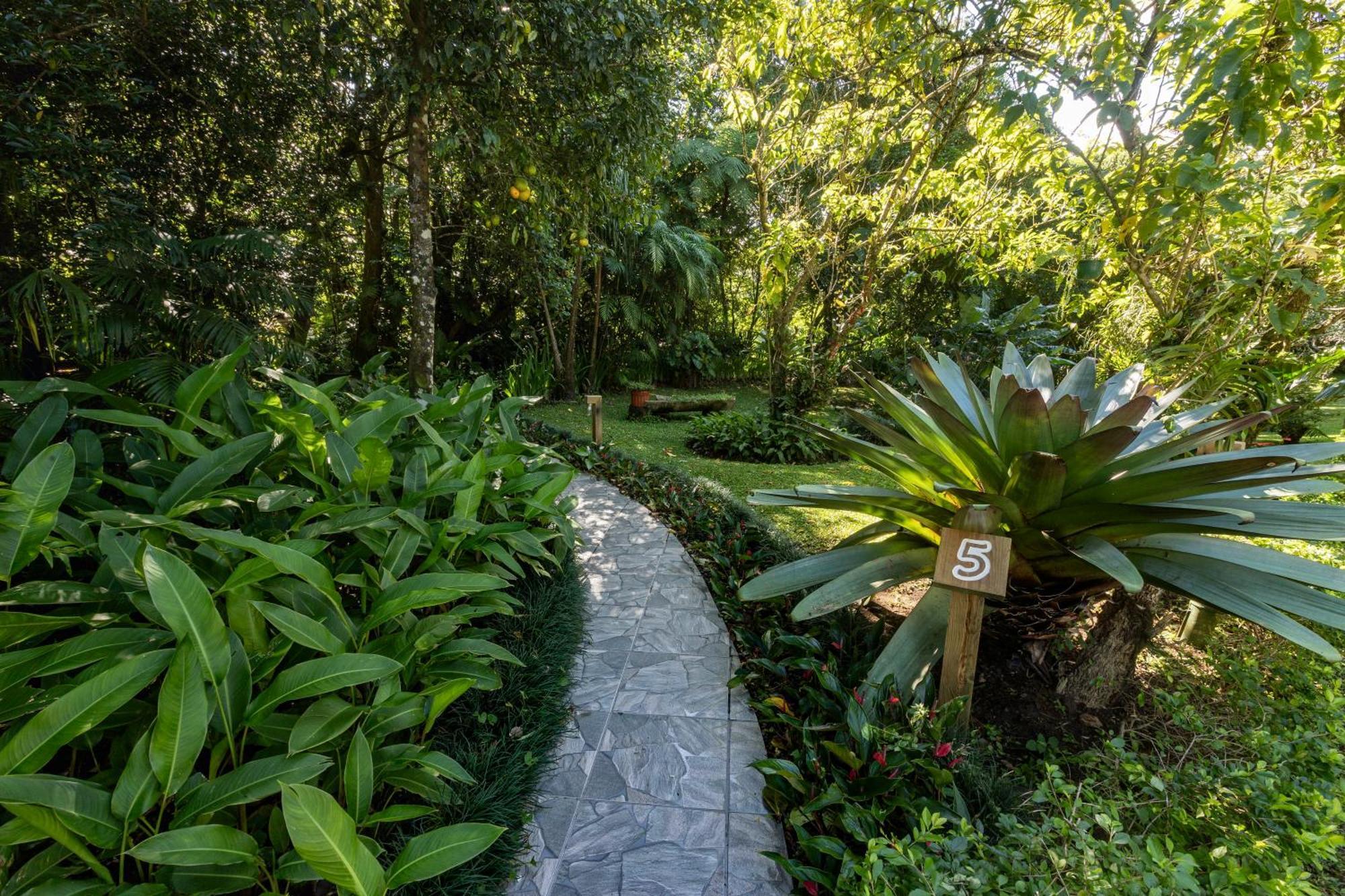 Cabanas Valle Campanas - Monteverde, Costa Rica Екстер'єр фото